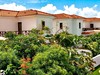 Melia Tortuga Beach - obrázek č. 5